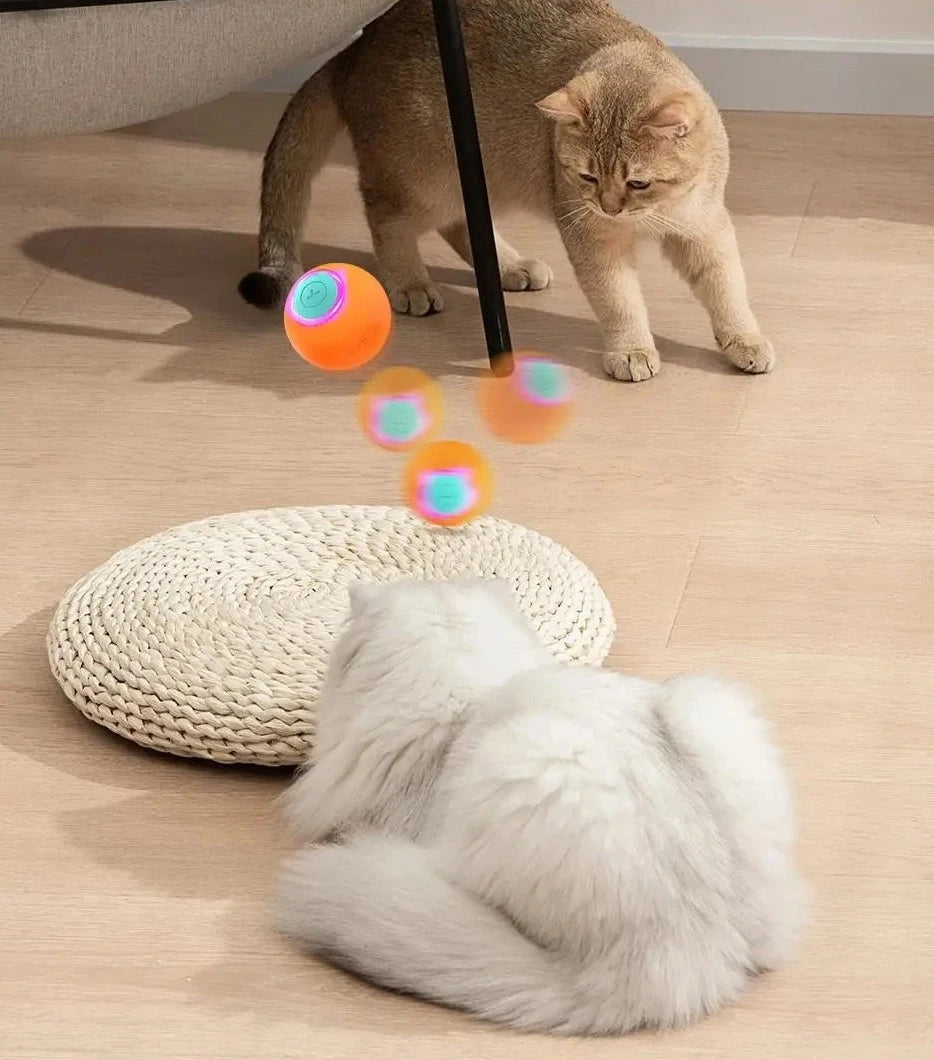 CatSmartBall™ | כדור חכם לחתולים